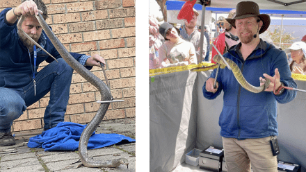 Petition to provide funding for snake catching and education