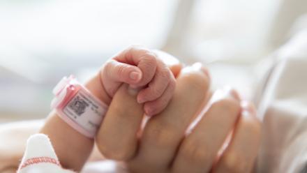 New born baby hand hold mum index finger