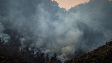 Pyro-reproduction: Keeping life on the boil