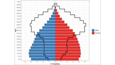 Understanding Disability and Life Expectancy in Mexico: New Insights