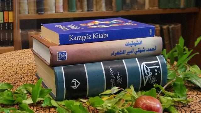 Three Languages, Three Cultures: Narratives from the Middle East
