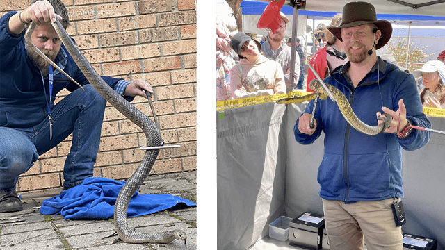 Petition to provide funding for snake catching and education