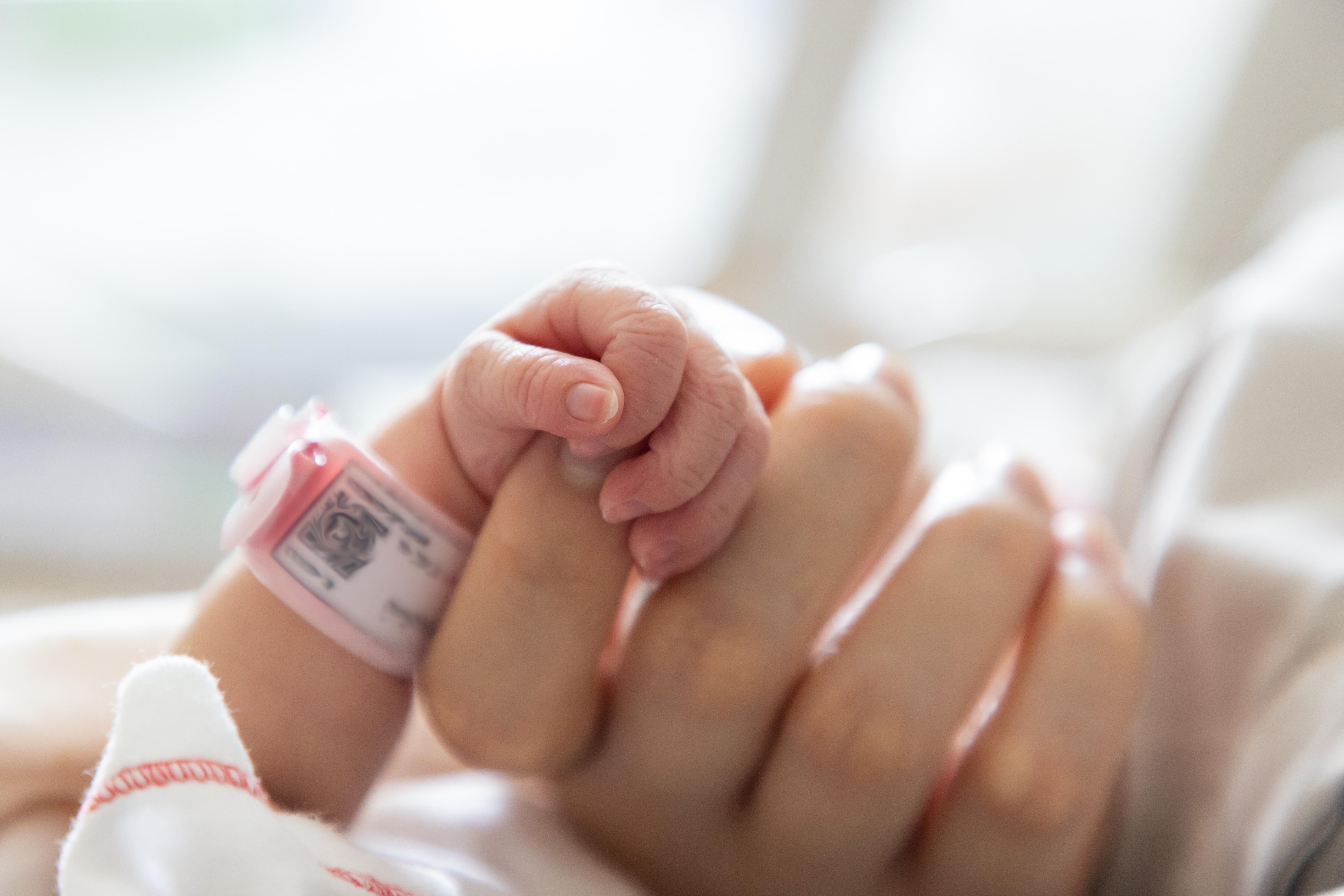 New born baby hand hold mum index finger
