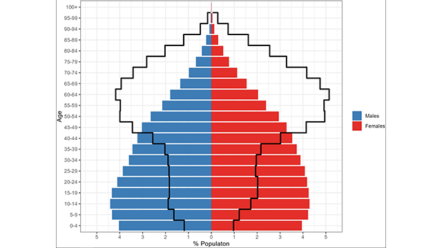 Understanding Disability and Life Expectancy in Mexico: New Insights